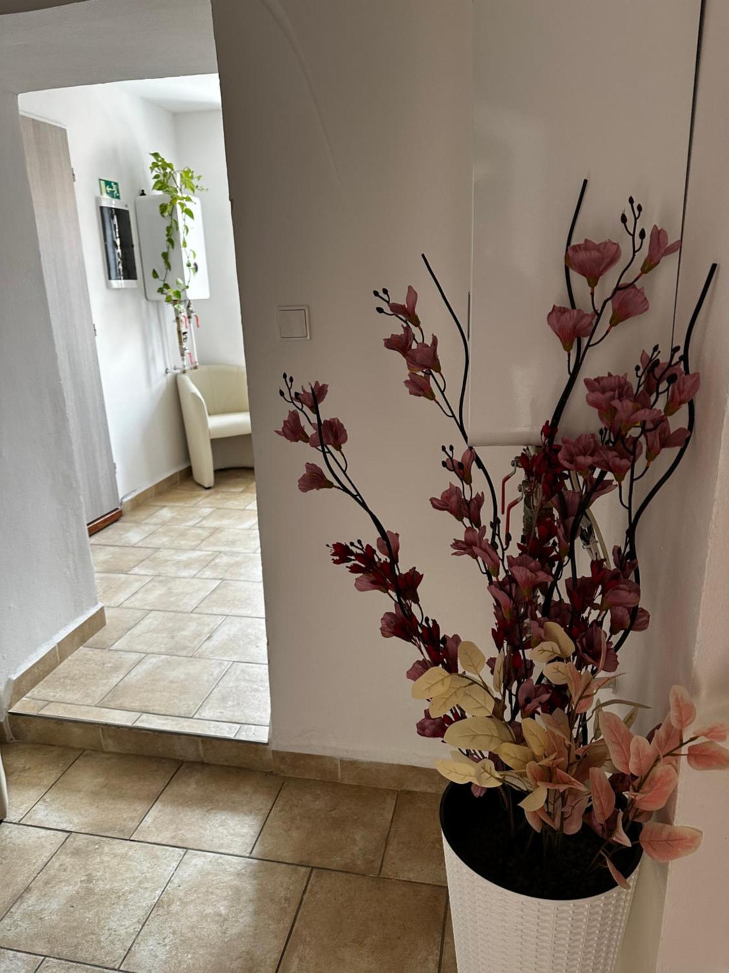 Sg Apartmanovy Dum Hořice 外观 照片